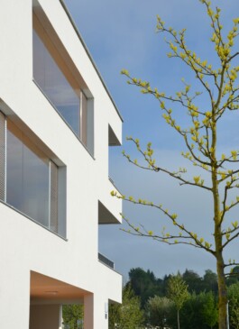 Wohnbau in Ottensheim in Oberösterreich geplant von Architekt Stummer 