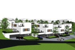 Rendering von Hofhäusern in Lacken in Feldkrichen an der Donau in Oberösterreich 